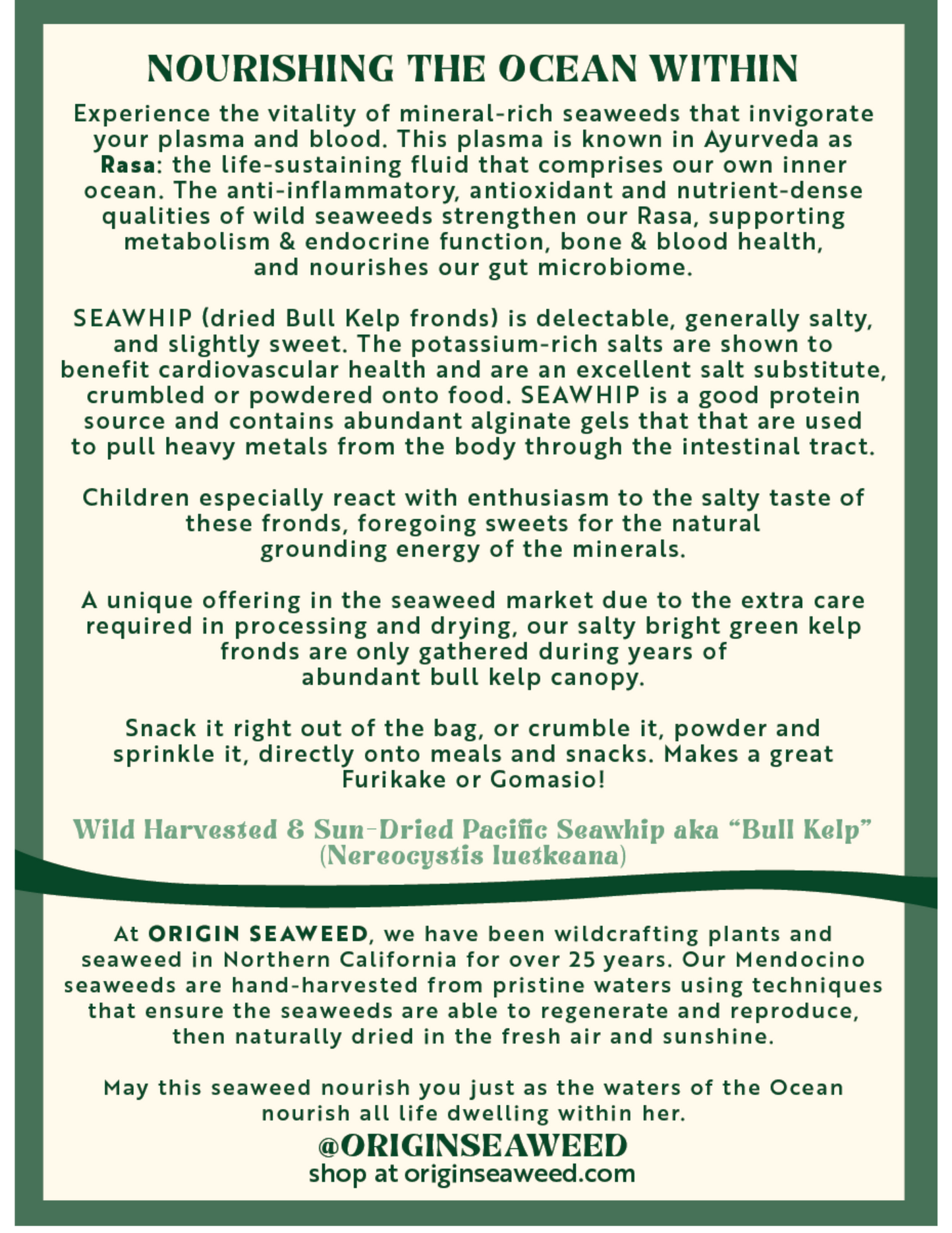 Seawhip (Bull Kelp)