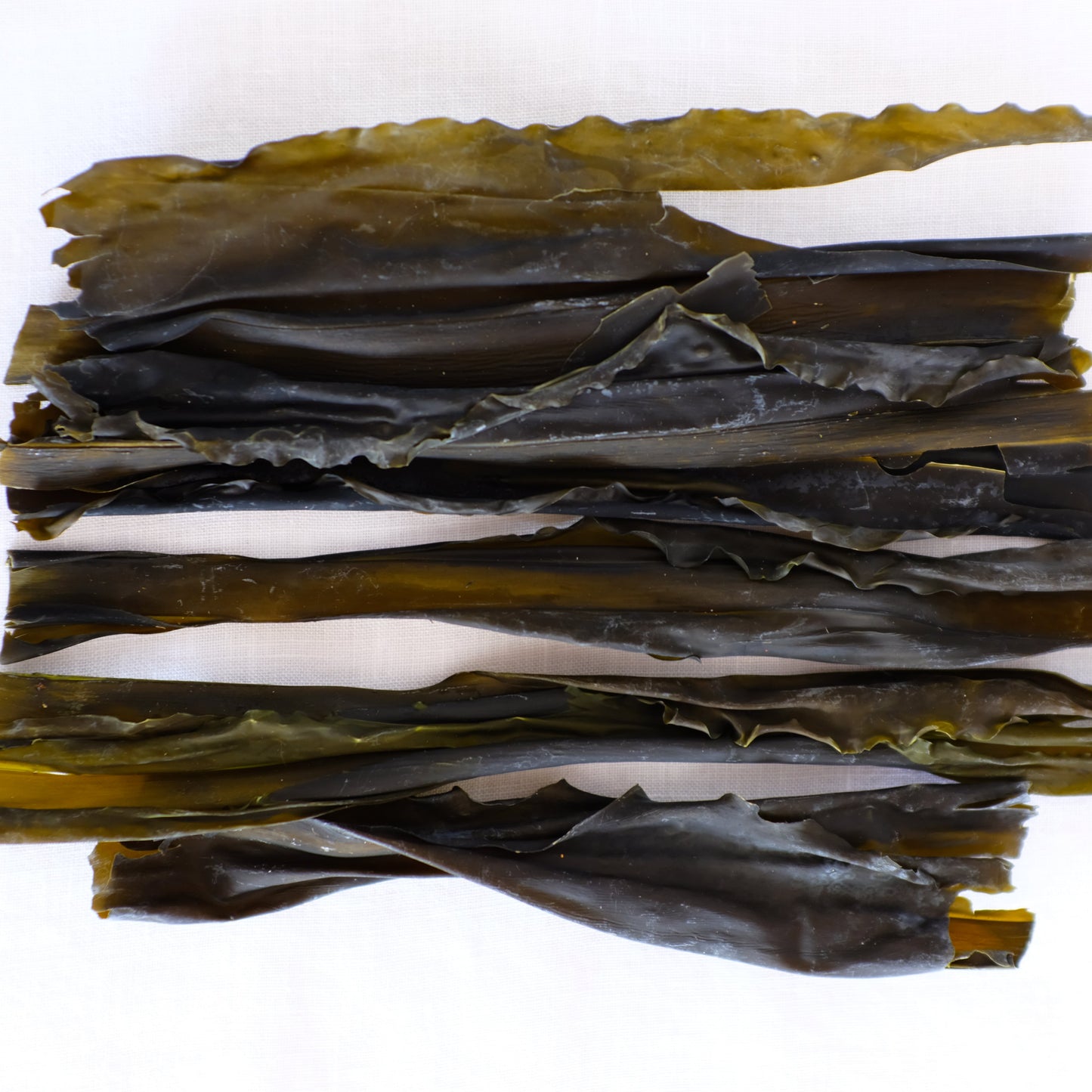 Wakame (Whole Leaf)
