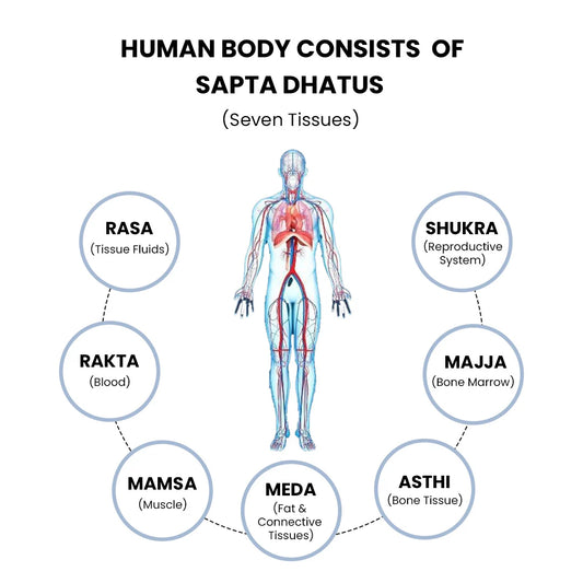 Understanding Plasma and Rasa Dhatu: The Foundation of Health in Ayurveda