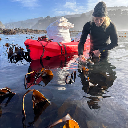 man hand harvesting kombu in the ocean with a kayak