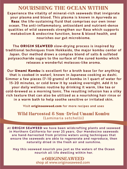 origin seaweed umami kombu back package label with information and benefits