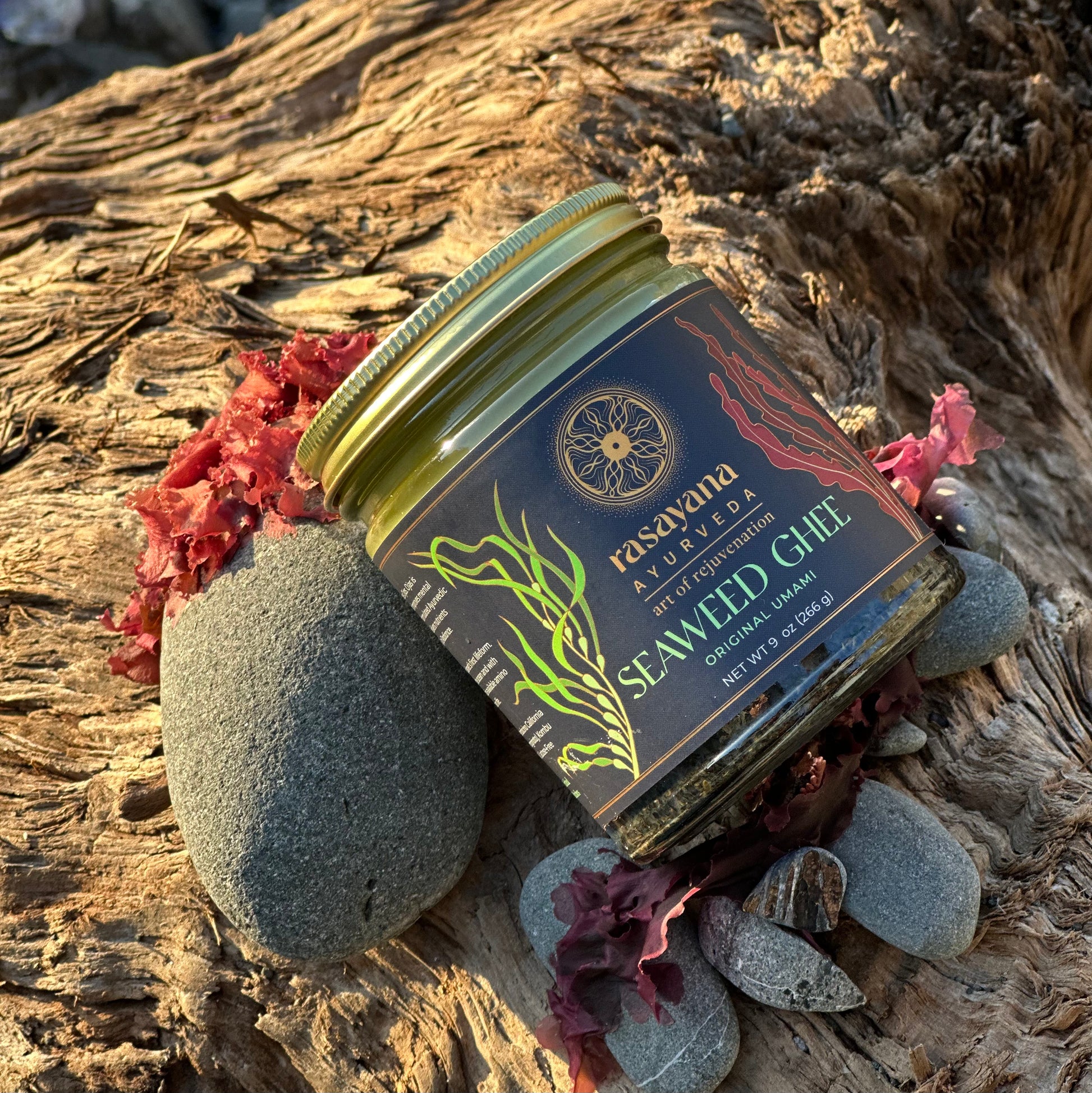 Original Umami Seaweed Ghee in 9 oz glass jar, grass-fed ghee with wild Nori, Wakame and Kombu from Northern California
