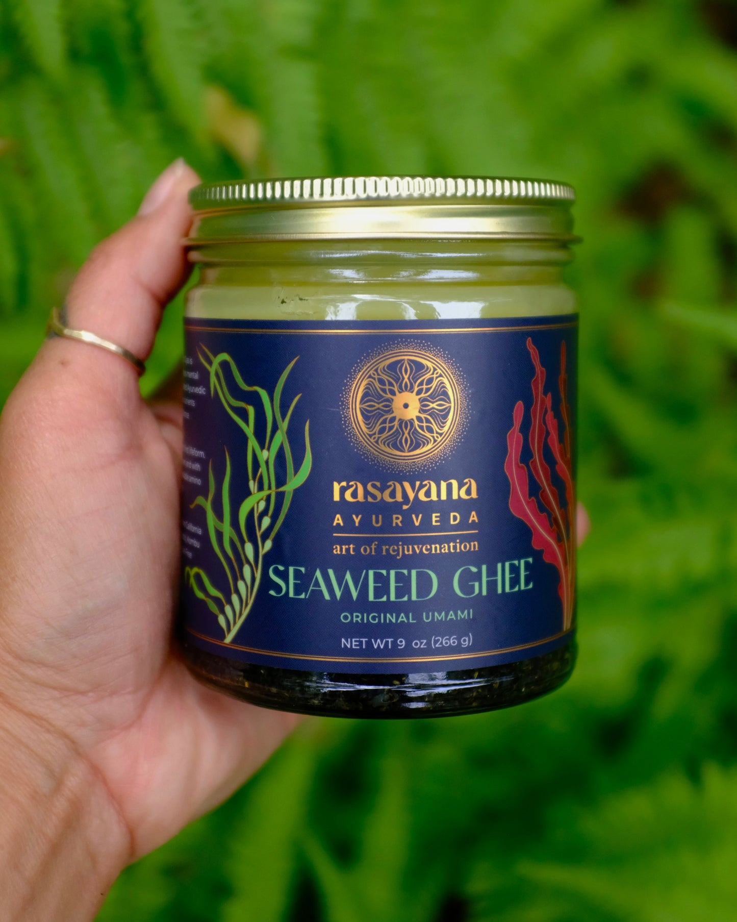 founder's hand holding original umami seaweed ghee 9 oz glass jar 