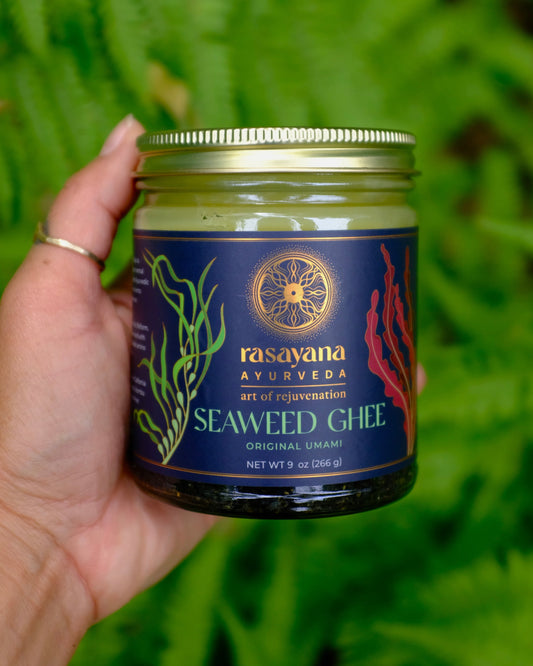 founder's hand holding original umami seaweed ghee 9 oz glass jar 