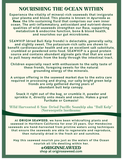 Seawhip (Bull Kelp)