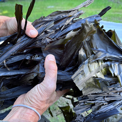 Wakame (Whole Leaf)