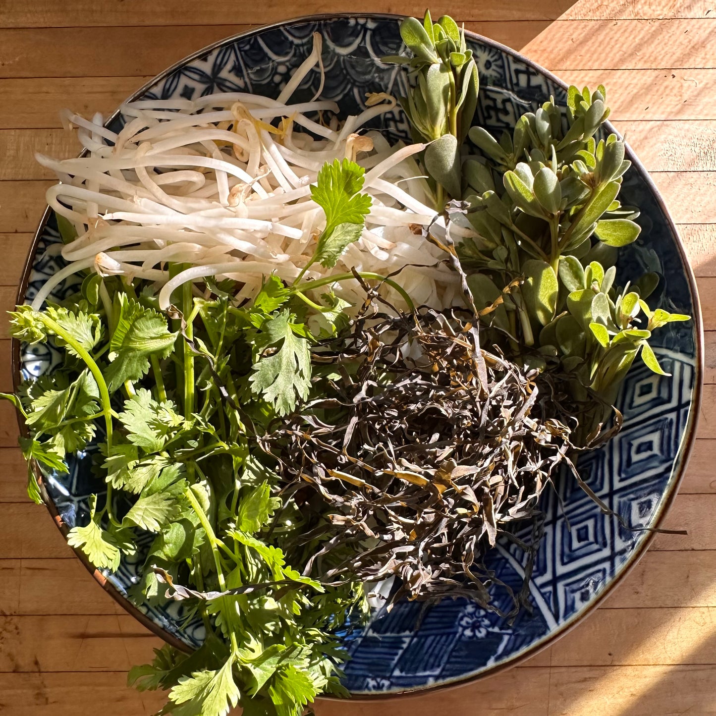 Sliced Wakame Noodles