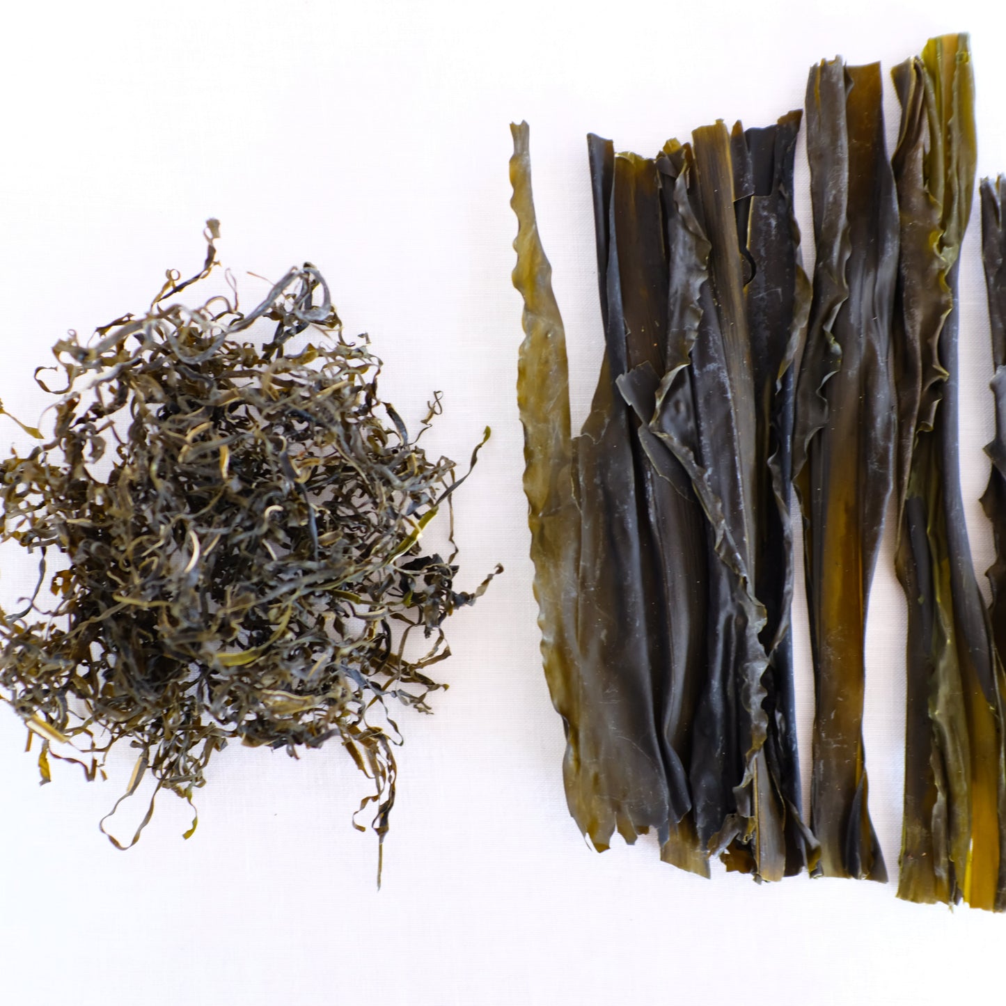 Sliced Noodles vs Whole Leaf Wakame